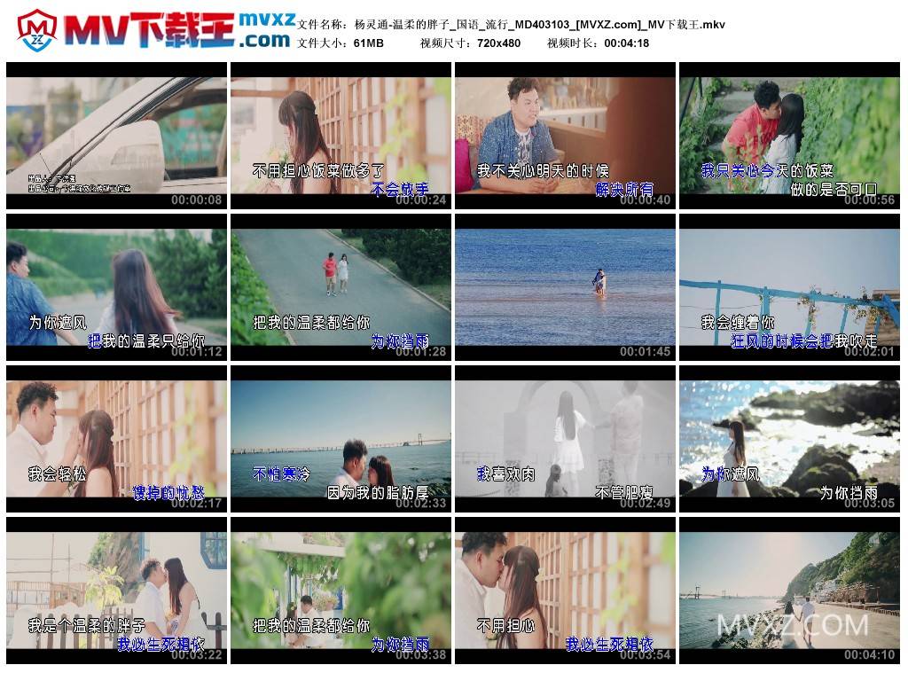 杨灵通-温柔的胖子_国语_流行_MD403103